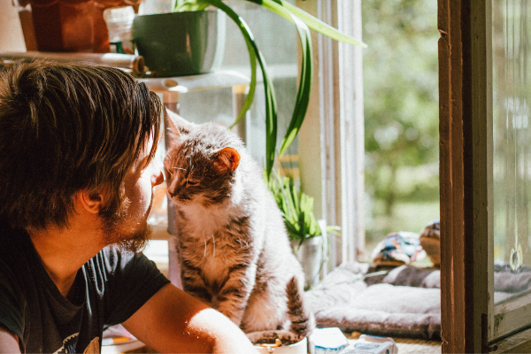 Renting properties to pet owners